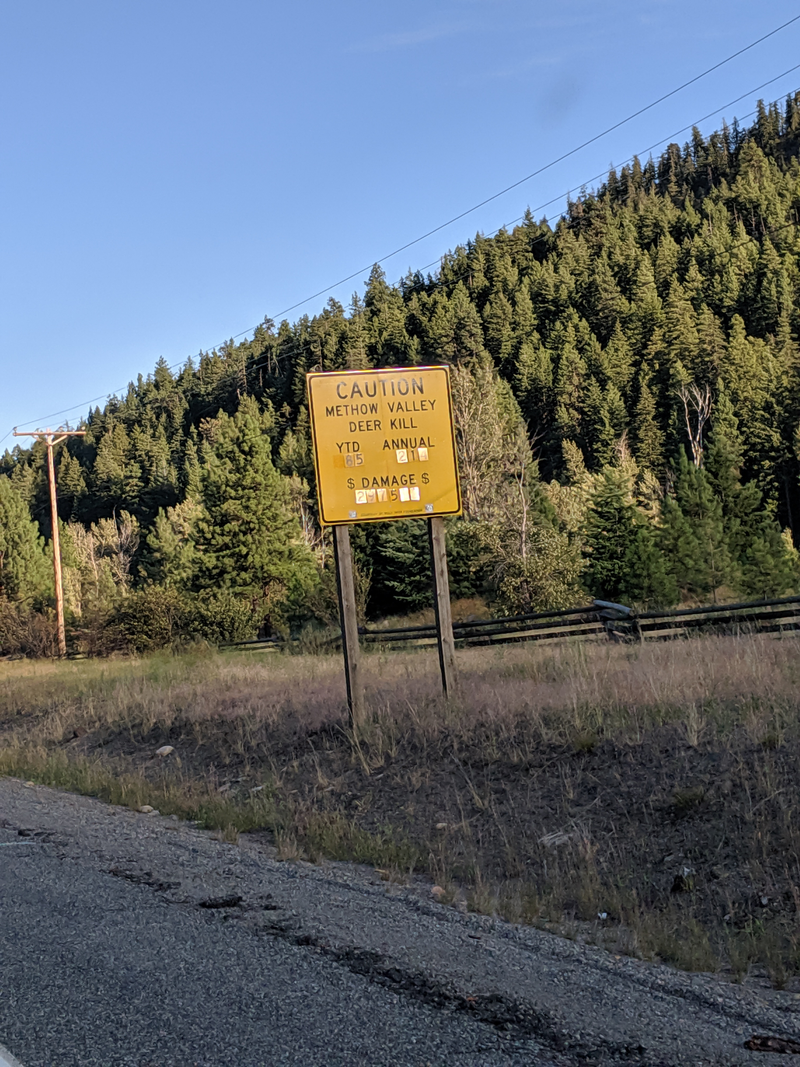Illustration for article titled Seen just outside of Winthrop, WA